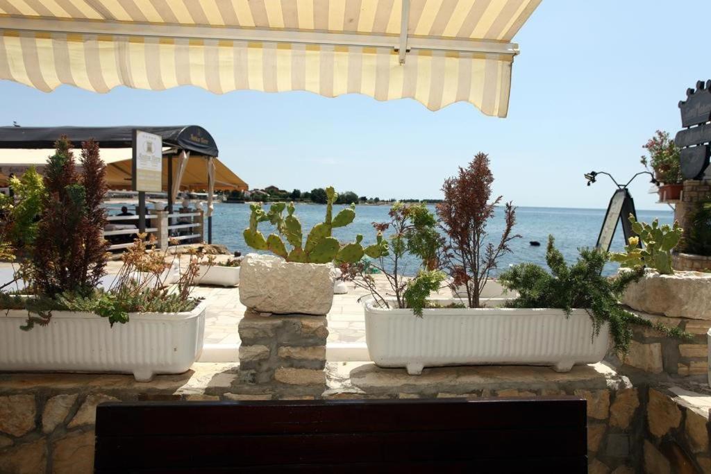 Sea View Apartment Umag 2 Εξωτερικό φωτογραφία